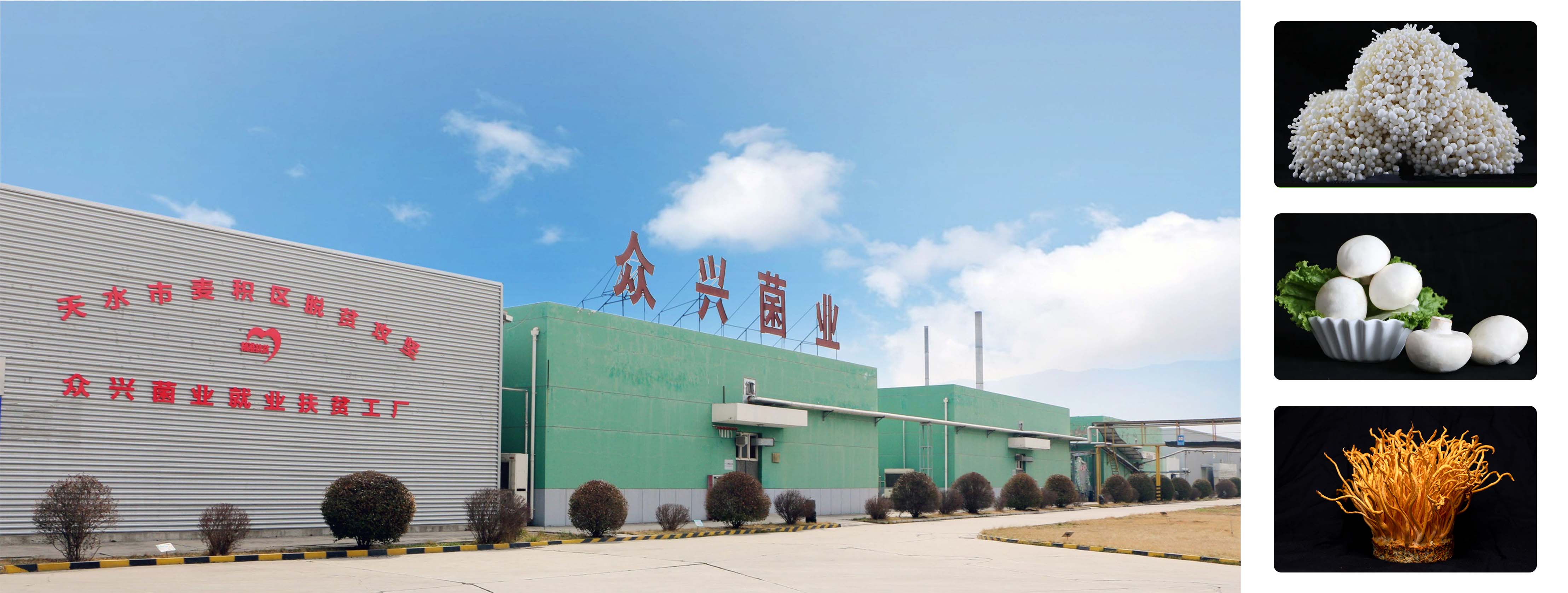 未標(biāo)題-1.jpg 未標(biāo)題-1.jpg